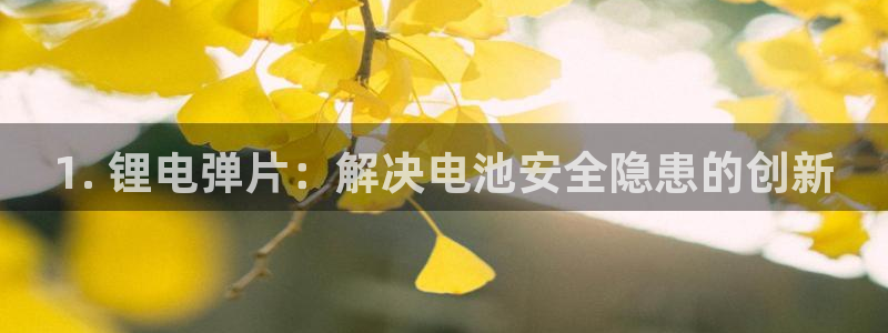 尊龙集团有限公司是国企吗：1. 锂电弹片：解决电池安全隐患的创新