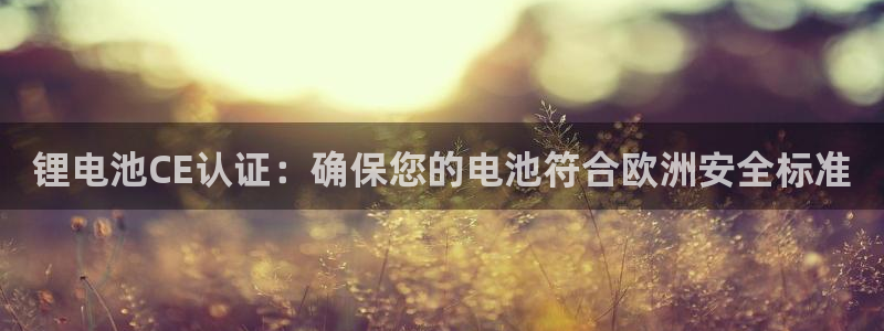 凯时AG网：锂电池CE认证：确保您的电池符合欧洲安全标准
