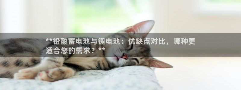 尊龙d88官网新版