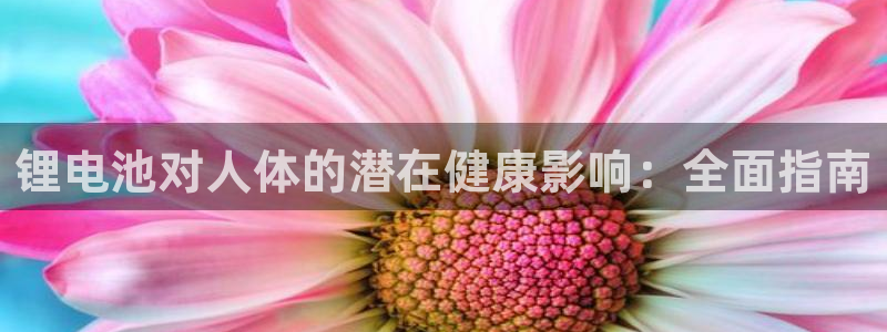 尊龙凯时企业文化