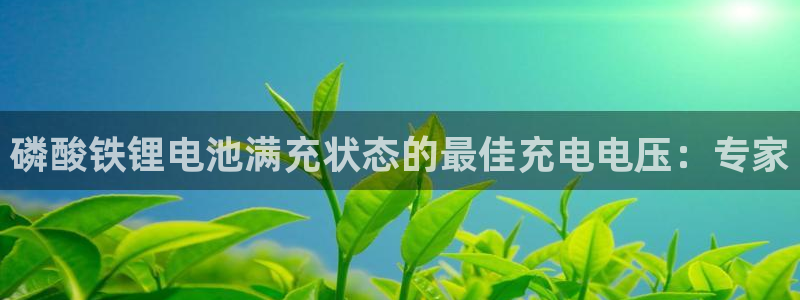 尊龙凯时取款不成功：磷酸铁锂电池满充状态的最佳充电电压：专家