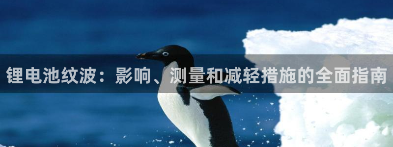 尊龙网址是选访问zd207