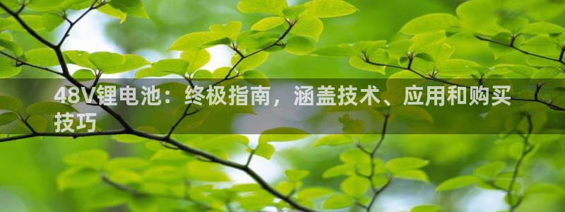 Ag尊龙平台