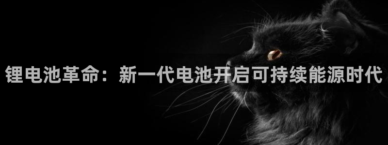 新版尊龙99