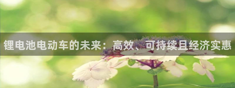 尊龙凯时怎么注销账号