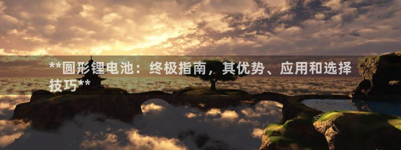 尊龙网站登录：**圆形锂电池：终极指南，其优势、应用和选择
技巧**