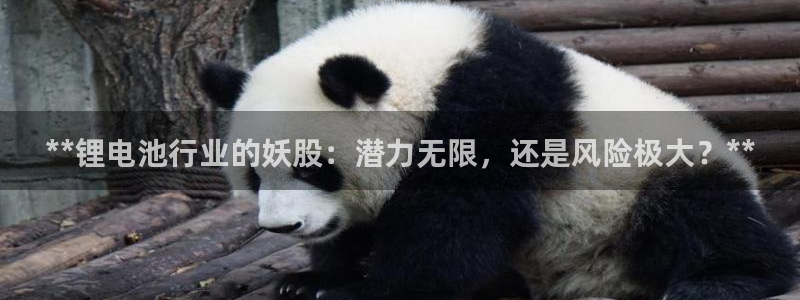 尊龙凯时能提现吗