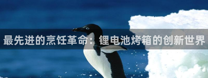 尊龙凯时人生就是搏客户：最先进的烹饪革命：锂电池烤箱的创新世界