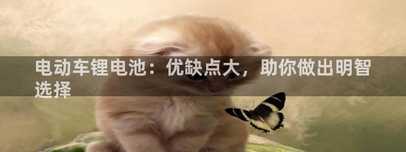尊龙凯时的生产设备