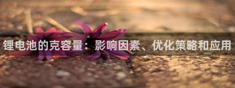 尊龙网站登录：锂电池的克容量：影响因素、优化策略和应用