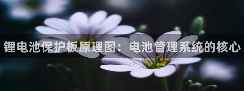尊龙凯时 人生就是搏!