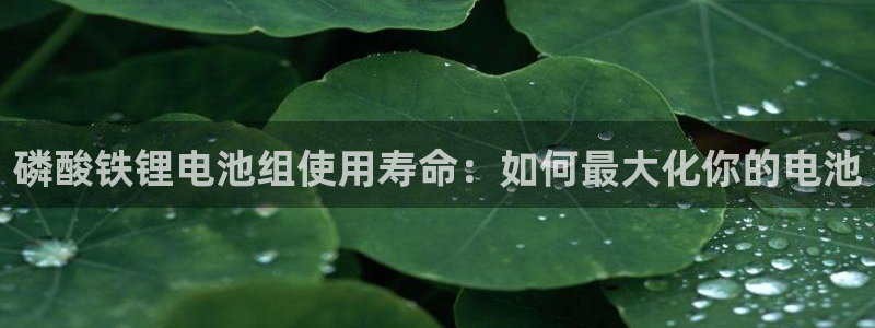 尊龙凯时不朽情缘