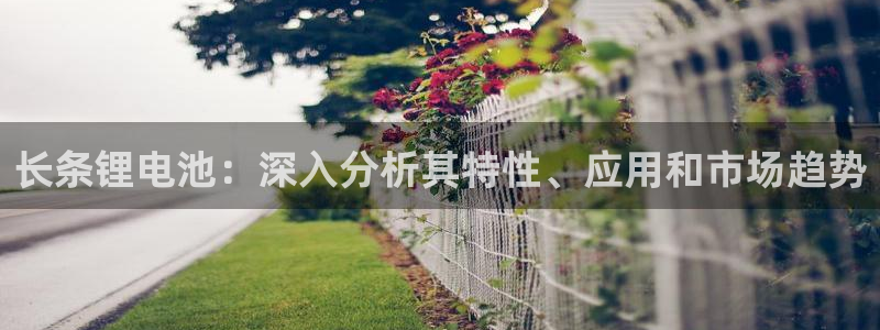 凯时国际app首页下载