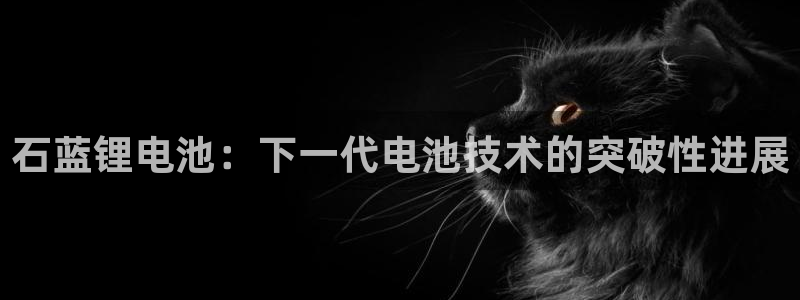 尊龙凯时泰安：石蓝锂电池：下一代电池技术的突破性进展