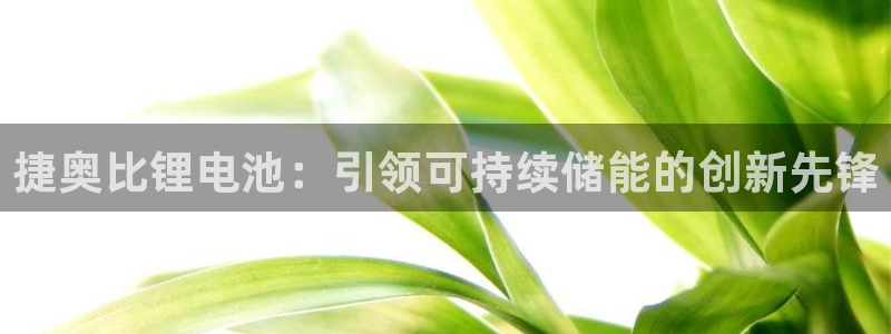 尊龙集团有限公司地址：捷奥比锂电池：引领可持续储能的创新先锋