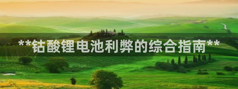 尊龙凯时 人生就是搏首页
