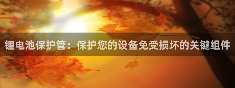 尊龙目前在哪：锂电池保护管：保护您的设备免受损坏的关键组件