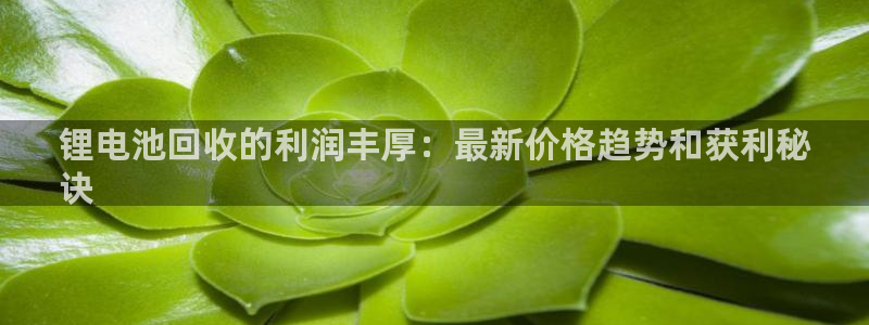 凯时游戏app