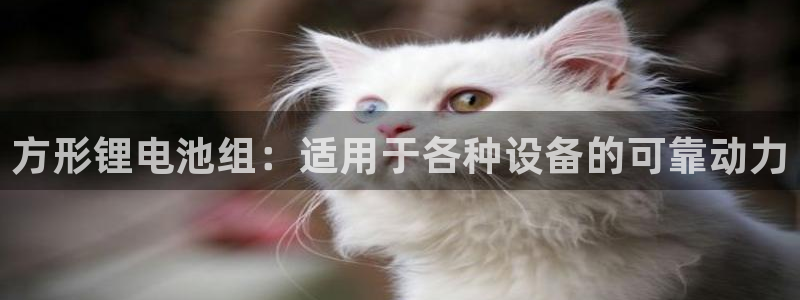尊龙ag旗舰厅官网官方入口