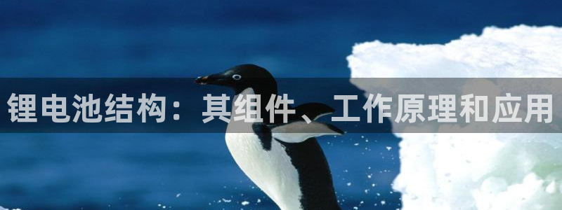 尊龙凯时能做退米么