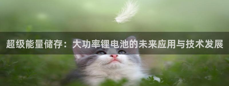 尊龙官网在哪里