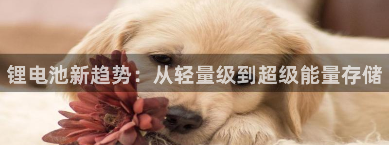 尊龙凯时网站怎么样