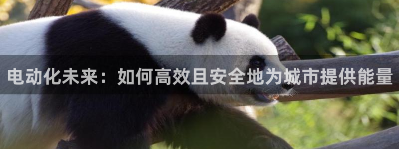 尊龙中国