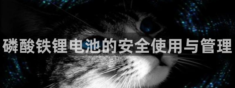 尊龙凯时下载人生就是博