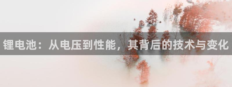 尊龙凯时开发