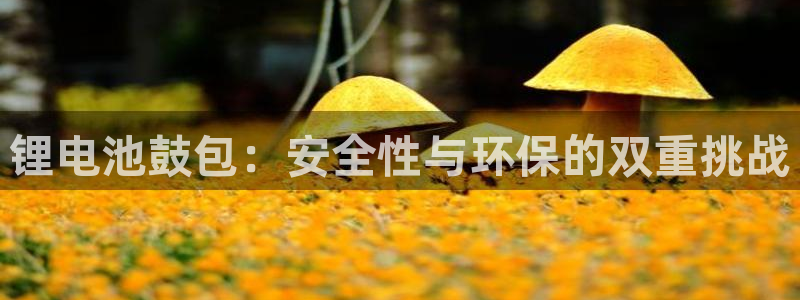 尊龙官方平台是正品吗