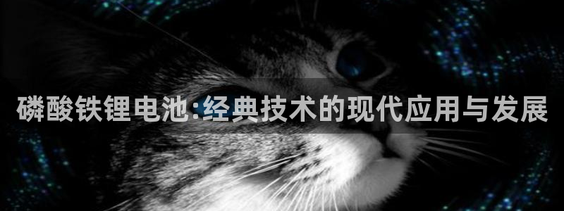 凯时官网下载客户端