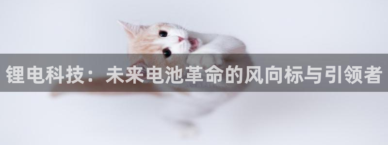 尊龙人生就是博旧版