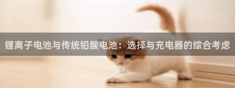 尊龙app登录不了