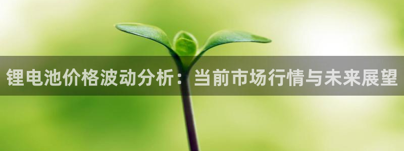尊龙凯时人生就是博·(中国)官网官