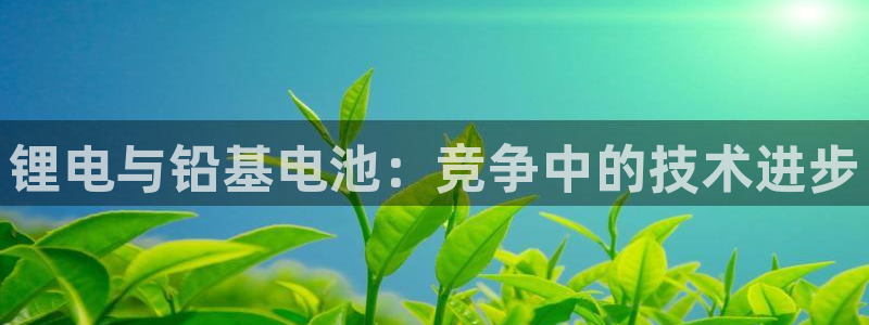 尊龙ag旗舰厅官网·(中国)官方入口
