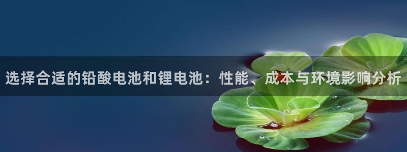 凯时在线平台官网