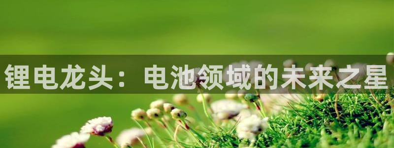 尊龙目前在哪
