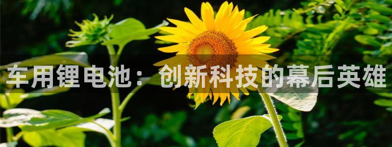 d88尊龙官网手机app