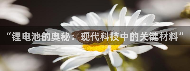 尊龙现在