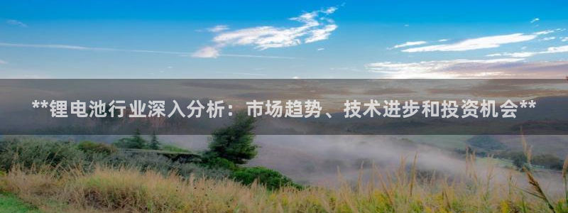 尊龙凯时老板是谁：**锂电池行业深入分析：市场趋势、技术进步和投资机会**